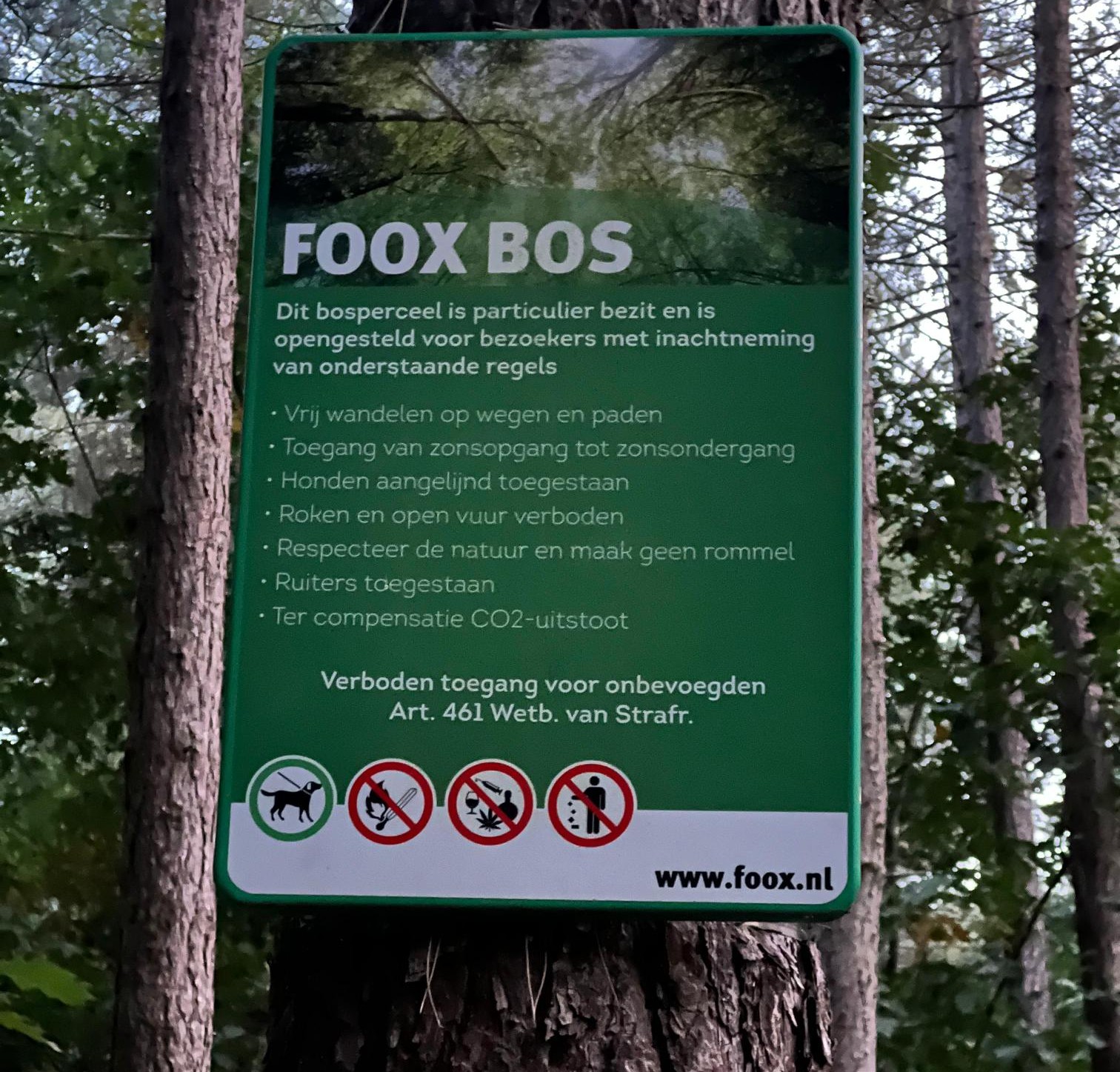 FOOX afbeelding bos